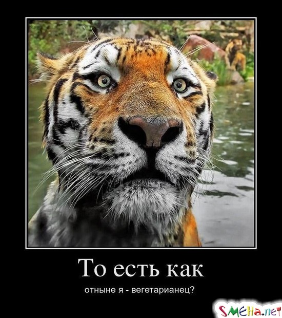 То есть как - отныне я - вегетарианец?