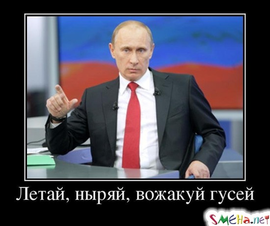 Летай, ныряй, вожакуй гусей
