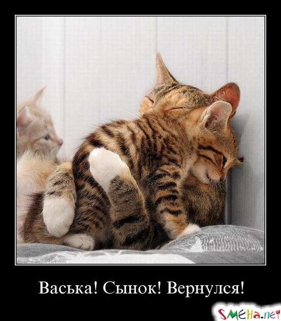 Васька! Сынок! Вернулся!