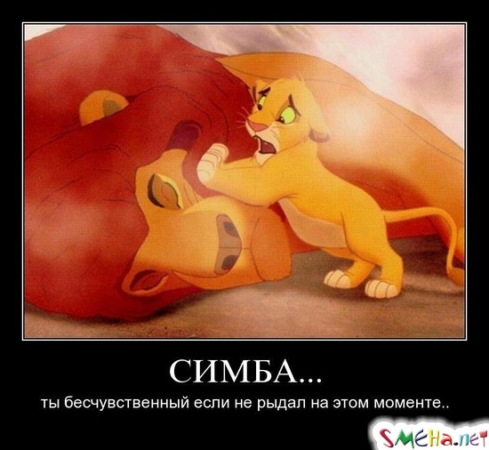 СИМБА... - ты бесчувственный если не рыдал на этом моменте..