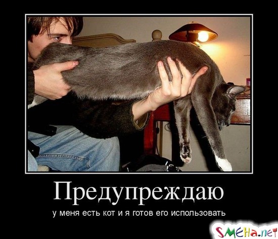 Предупреждаю у меня есть кот и я готов его использовать