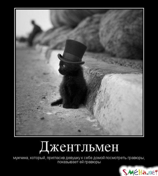 Джентльмен - мужчина, который, пригласив девушку к себе домой посмотреть гравюры, показывает ей гравюры