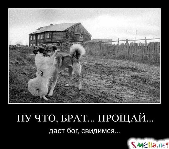 НУ ЧТО, БРАТ... ПРОЩАЙ... - даст бог, свидимся...