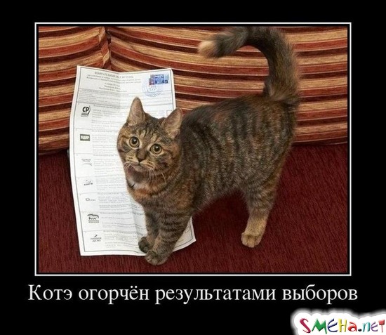 Котэ огорчён результатами выборов