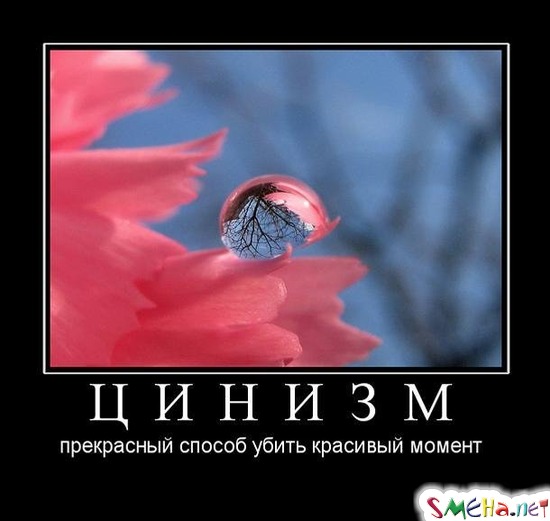 ЦИНИЗМ - прекрасный способ убить красивый момент