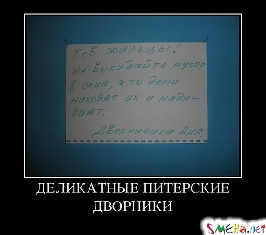 ДЕЛИКАТНЫЕ ПИТЕРСКИЕ ДВОРНИКИ