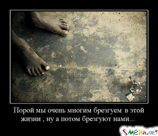 Порой мы очень многим брезгуют в этой жизни , ну а потом брезгуют нами...
