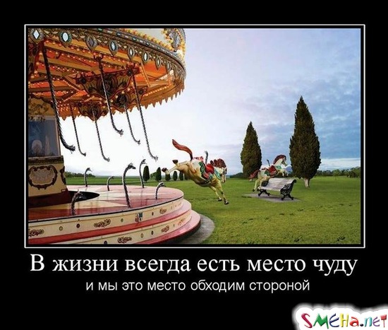 В жизни всегда есть место чуду - и мы это место замечательно обходим стороной