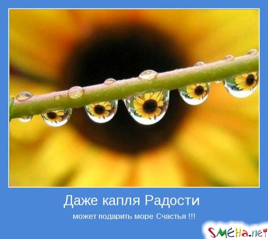 Даже капля Радости может подарить море Счастья!!!