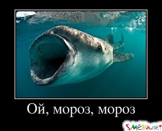 Ой, мороз, мороз