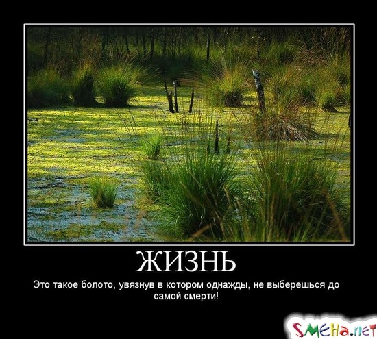 ЖИЗНЬ - Это такое болото, увязнув в котором однажды, не выберешься до самой смерти!