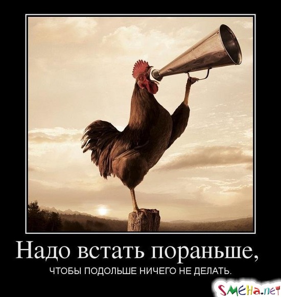 Надо встать пораньше, - ЧТОБЫ ПОДОЛЬШЕ НИЧЕГО НЕ ДЕЛАТЬ