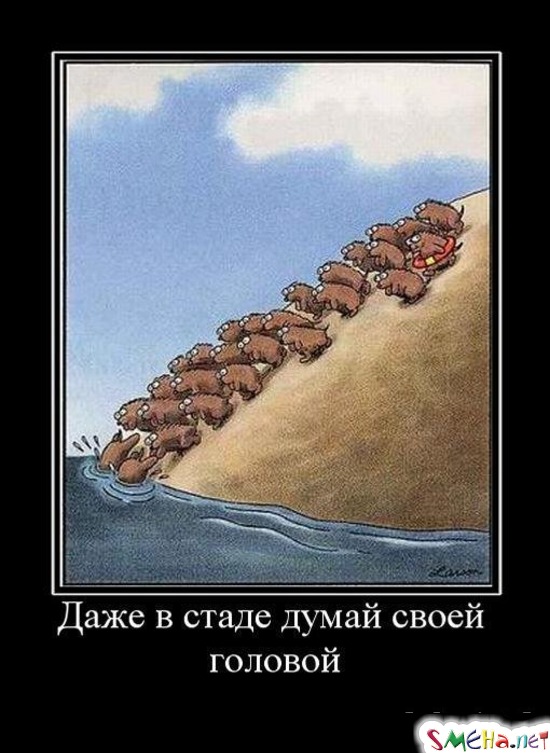 Даже в стаде думай своей головой