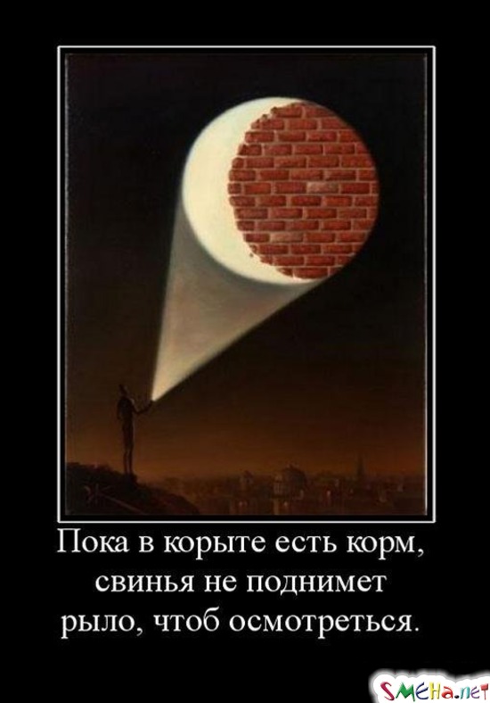 Пока в корыте есть корм, свинья не поднимет рыло, чтоб осмотреться.