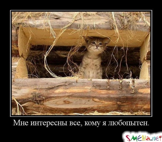Мне интересны все, кому я любопытен.