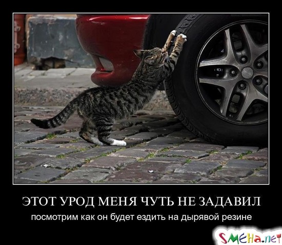ЭТОТ УРОД МЕНЯ ЧУТЬ НЕ ЗАДАВИЛ - посмотрим как он будет ездить на дырявой резине