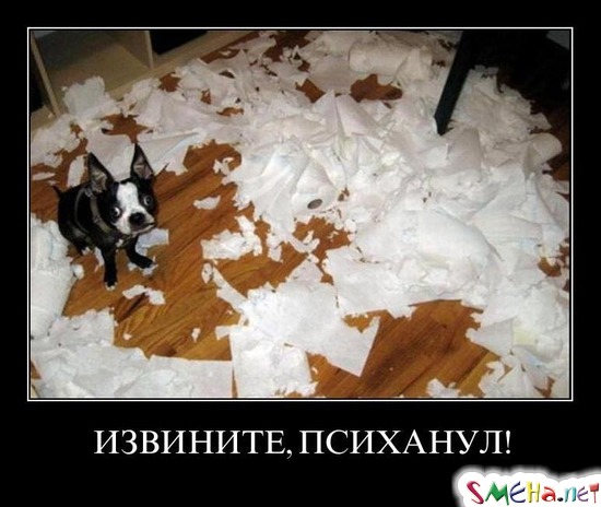 ИЗВИНИТЕ, ПСИХАНУЛ!