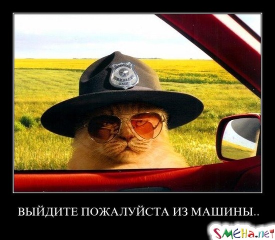 ВЫЙДИТЕ ПОЖАЛУЙСТА ИЗ МАШИНЫ