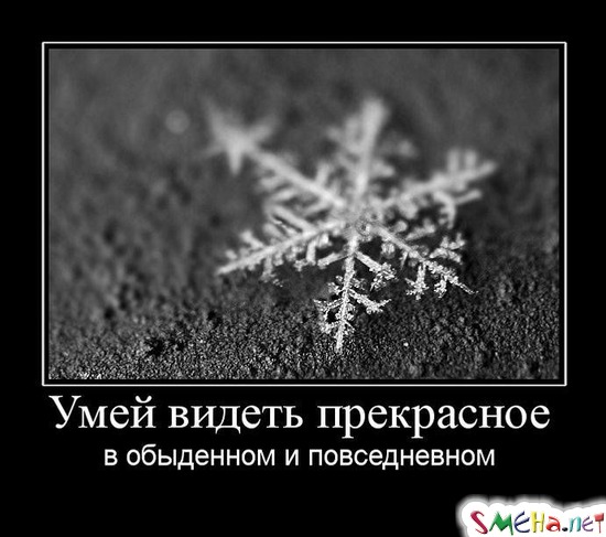Умей видеть прекрасное - в обыденном и повседневном