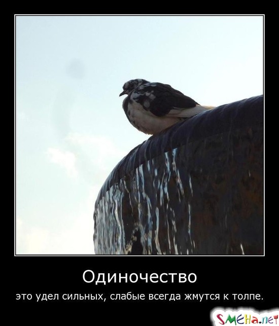Одиночество - это удел сильных, слабые всегда жмутся к толпе.