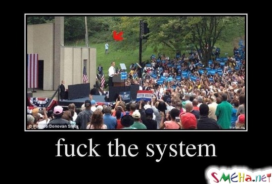 fuck the system
