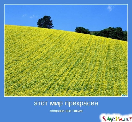 этот мир прекрасен - сохрани его таким