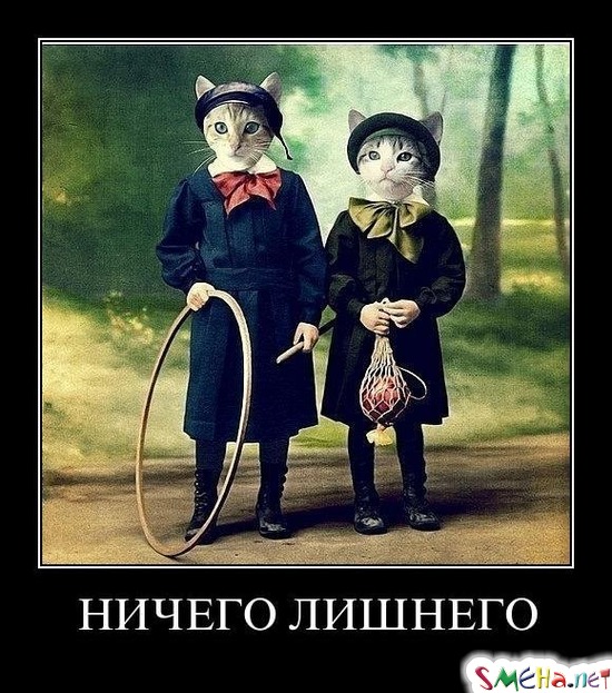 НИЧЕГО ЛИШНЕГО