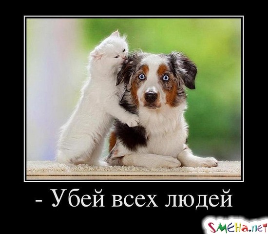 Убей всех людей