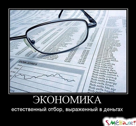 ЭКОНОМИКА - естественный отбор, выраженный в деньгах