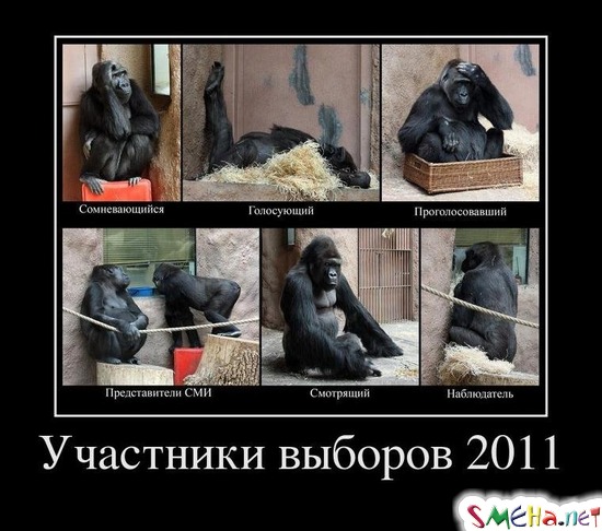 Участники выборов 2011