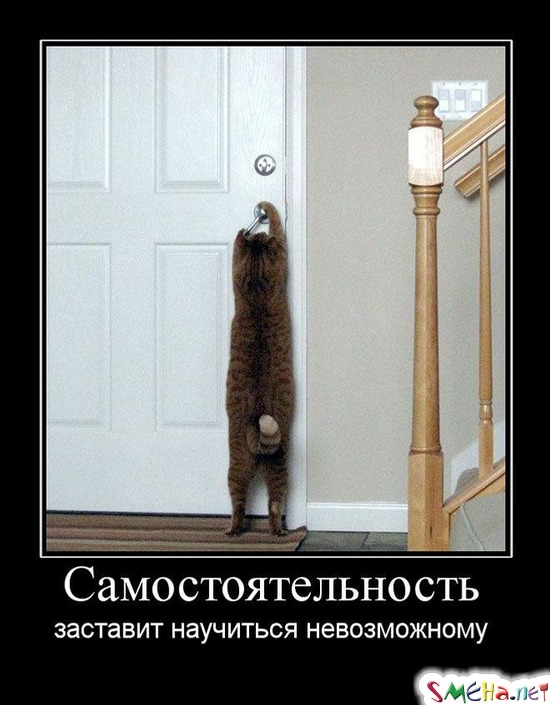 Самостоятельность - заставит научиться невозможному