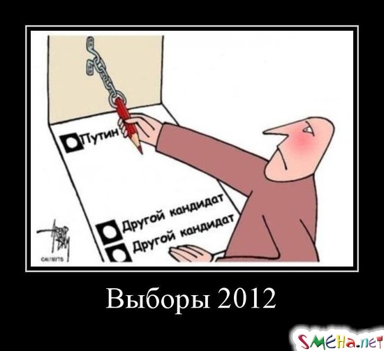 Выборы 2012
