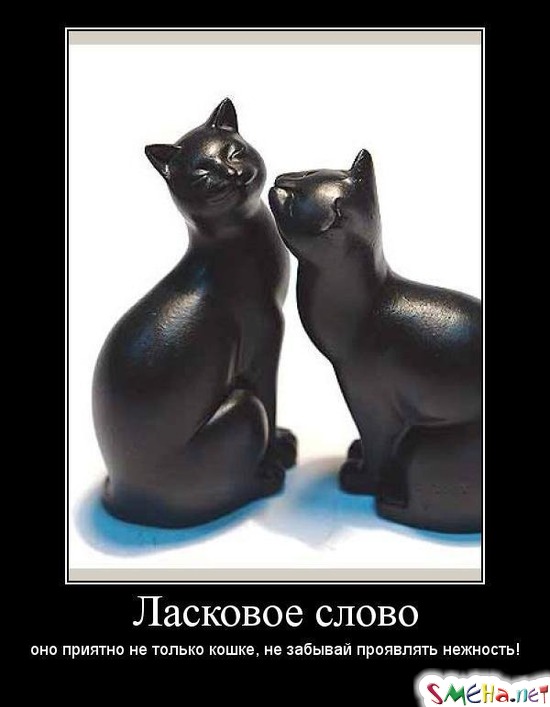 Ласковое слово - оно приятно не только кошке, не забывай проявлять нежность!