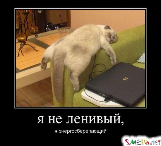 Я не ленивый, я энергосберегающий