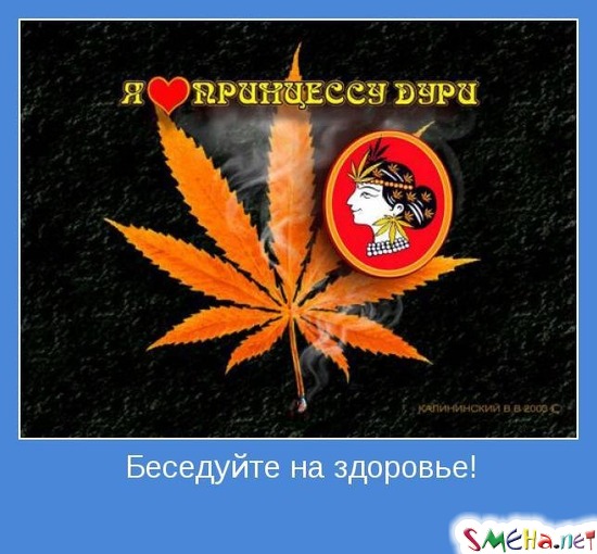 Беседуйте на здоровье!
