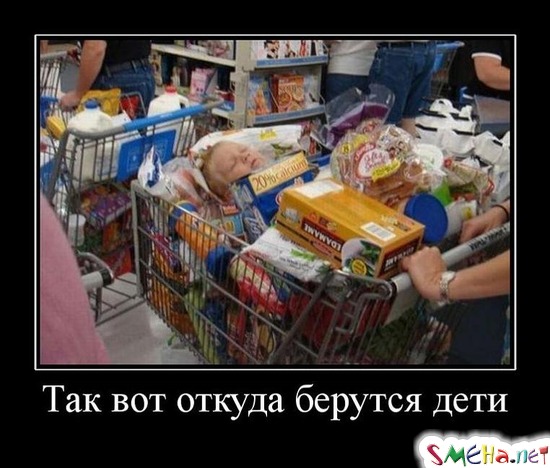 Так вот откуда берутся дети