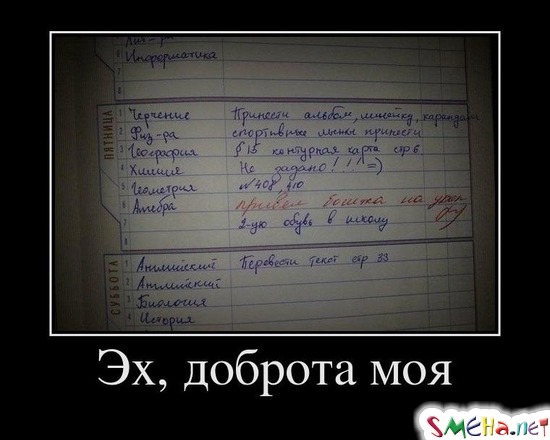 Эх, доброта моя