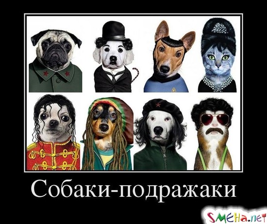Собаки-подражаки