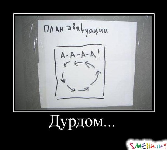 Дурдом...