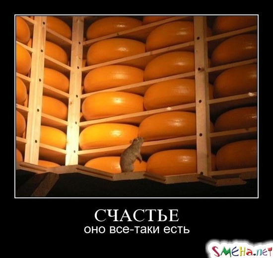 СЧАСТЬЕ - оно все-таки есть