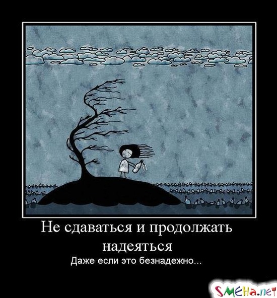 Не сдаваться и продолжать надеяться - Даже если это безнадежно...