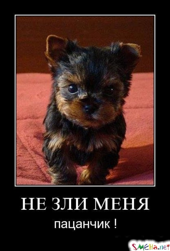 НЕ ЗЛИ МЕНЯ - пацанчик !