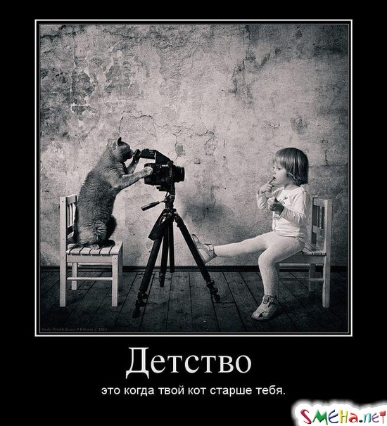 Детство - это когда твой кот старше тебя