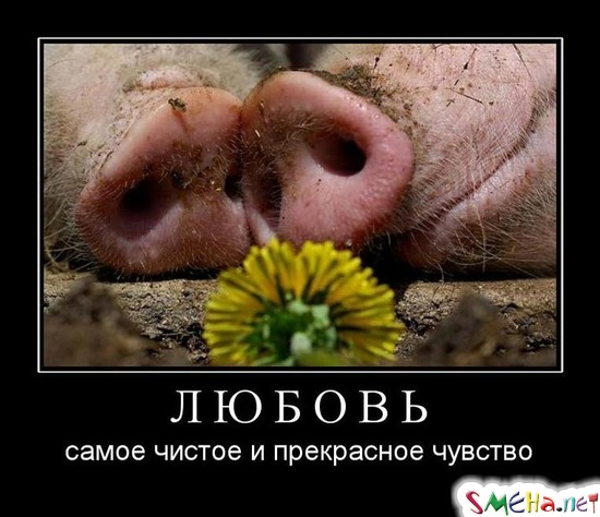 ЛЮБОВЬ - самое чистое и прекрасное чувство