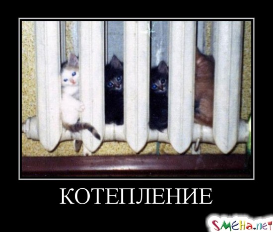 Котепление