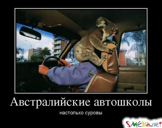 Австралийские автошколы - настолько суровы
