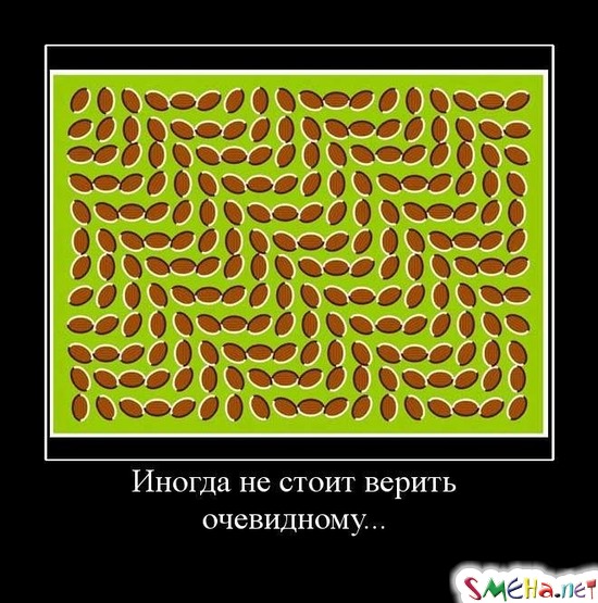 Иногда не стоит верить очевидному...