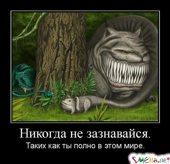 Никогда не зазнавайся. - Таких как ты полно в этом мире.