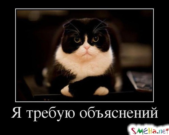 Я требую объяснений