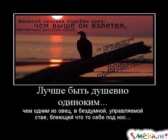 Лучше быть душевно одиноким... - чем одним из овец, в бездумной, управляемой стае, блеющей что то себе под нос...